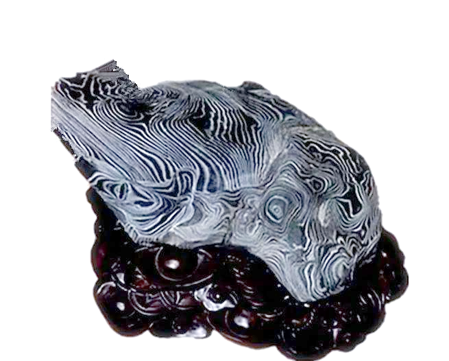 卷纹石:昌化江与来宾的神秘奇石故事