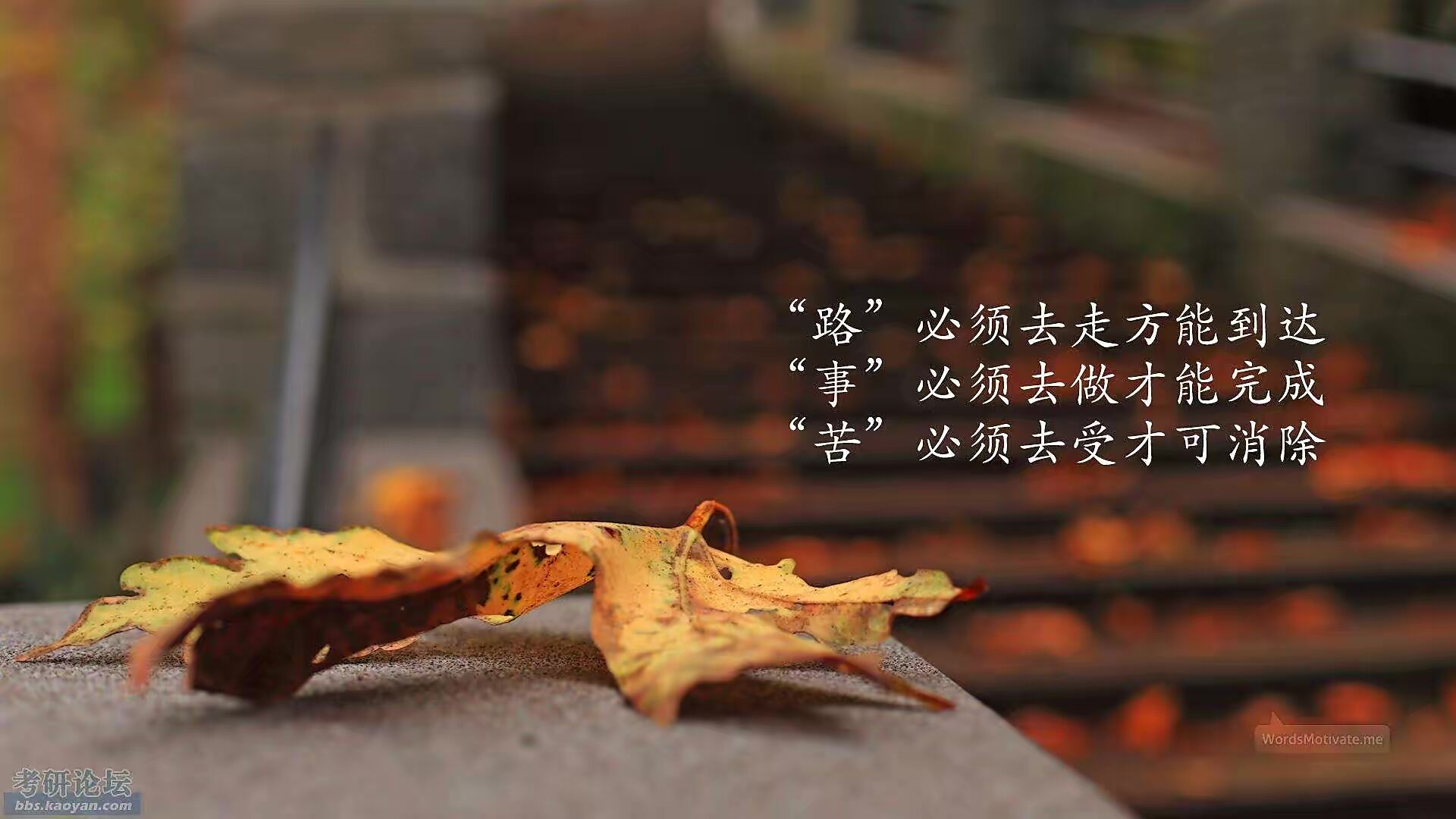 考研上岸八字秘诀!