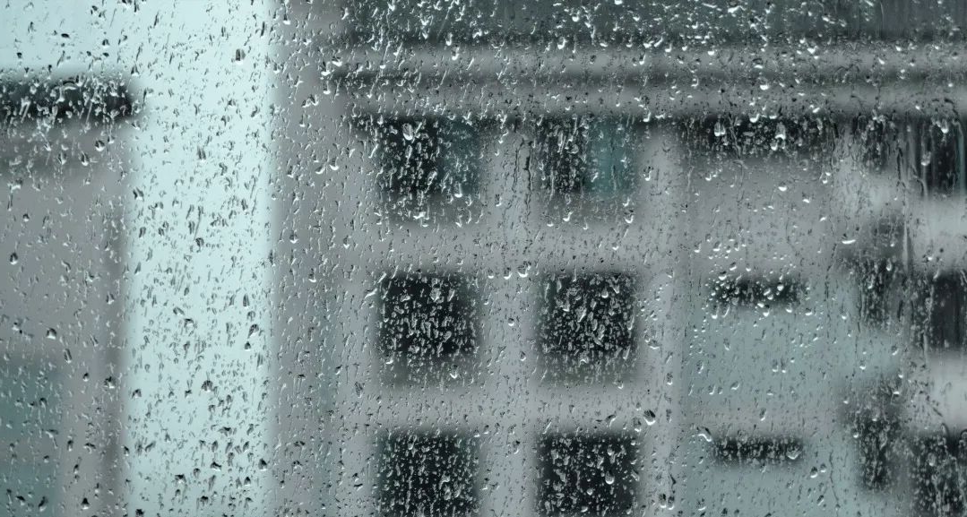 浙江龙泉天气在线