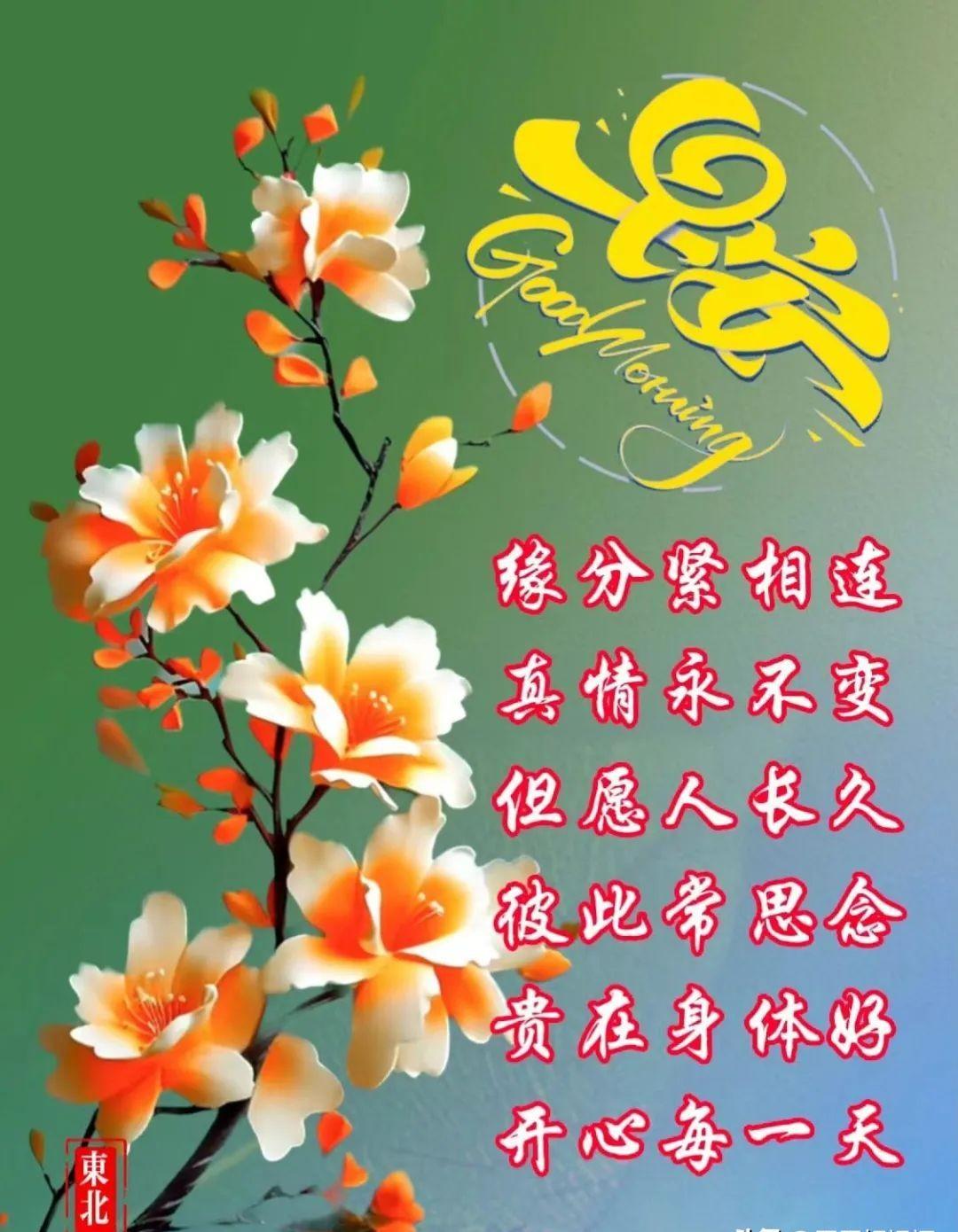 11月16日精选早安暖心祝福图片带字