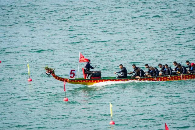11城29队!大湾区海上龙舟赛超燃来袭→