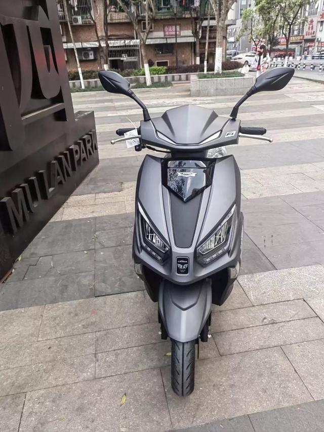 蓝盾踏板摩托车125图片