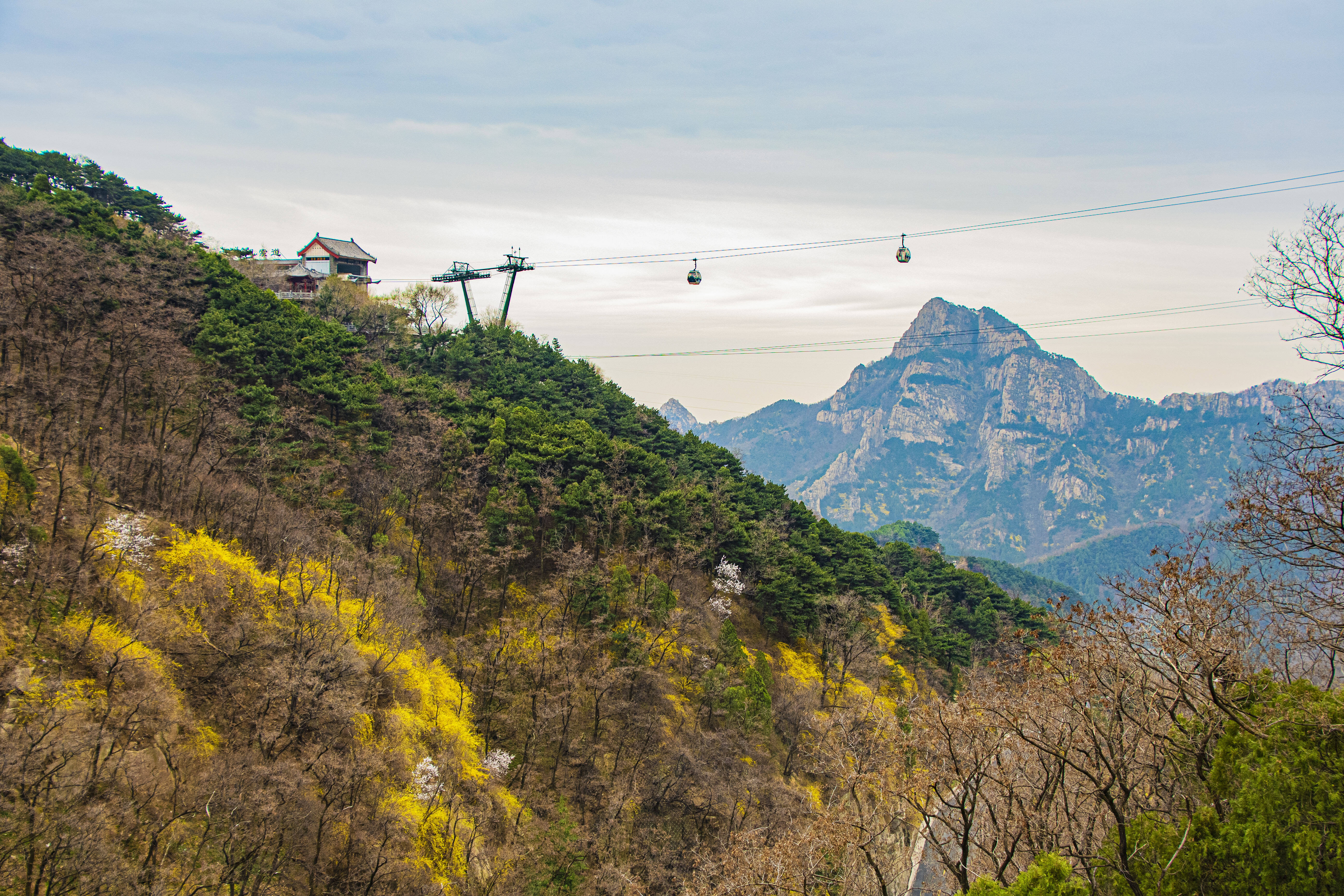 "无预约 不出游" 泰山景区实施全网全员实名制预约 门票提前7天预售