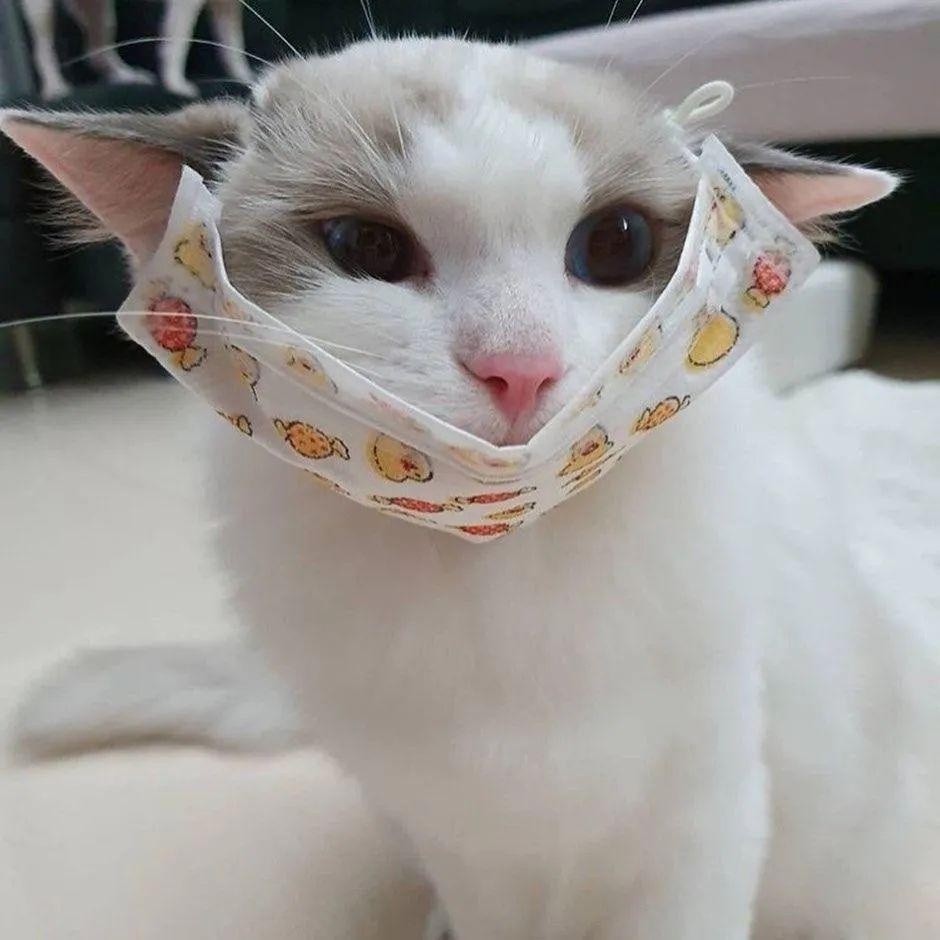 利比里亚籍和平轮确诊病例密接者2人转为无症状感染者!