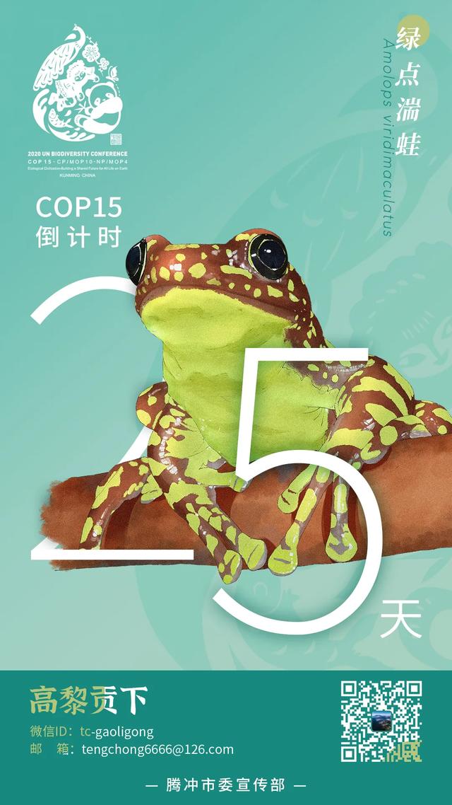 COP15 cop15