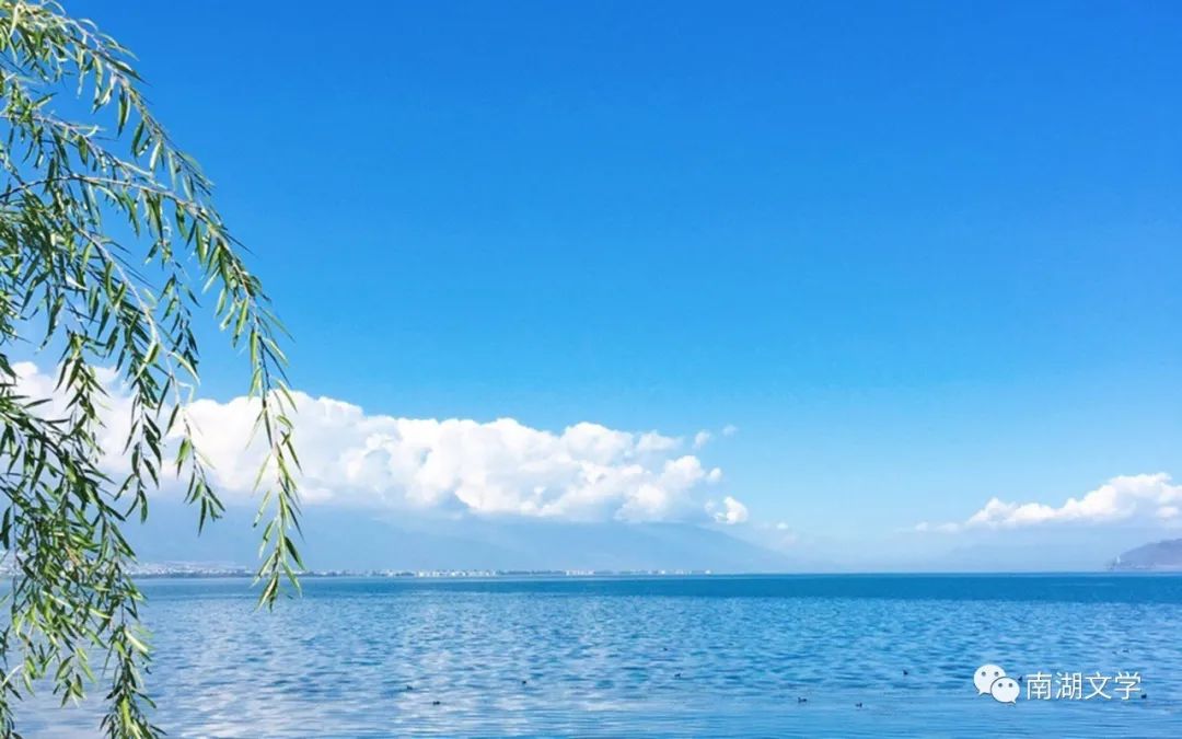 俞肃平散文|夏日捕鱼记