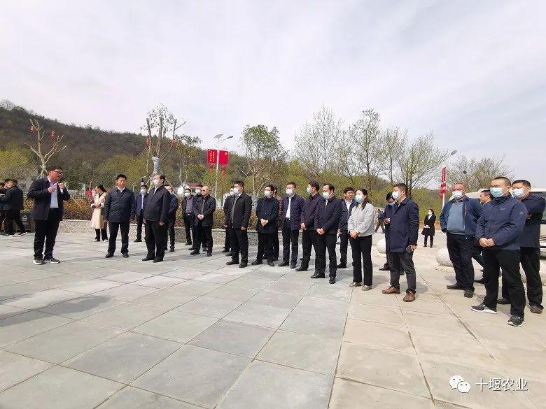 马朝晖在全市春季农业生产现场会强调把握粮食安全主动权建强重点农业