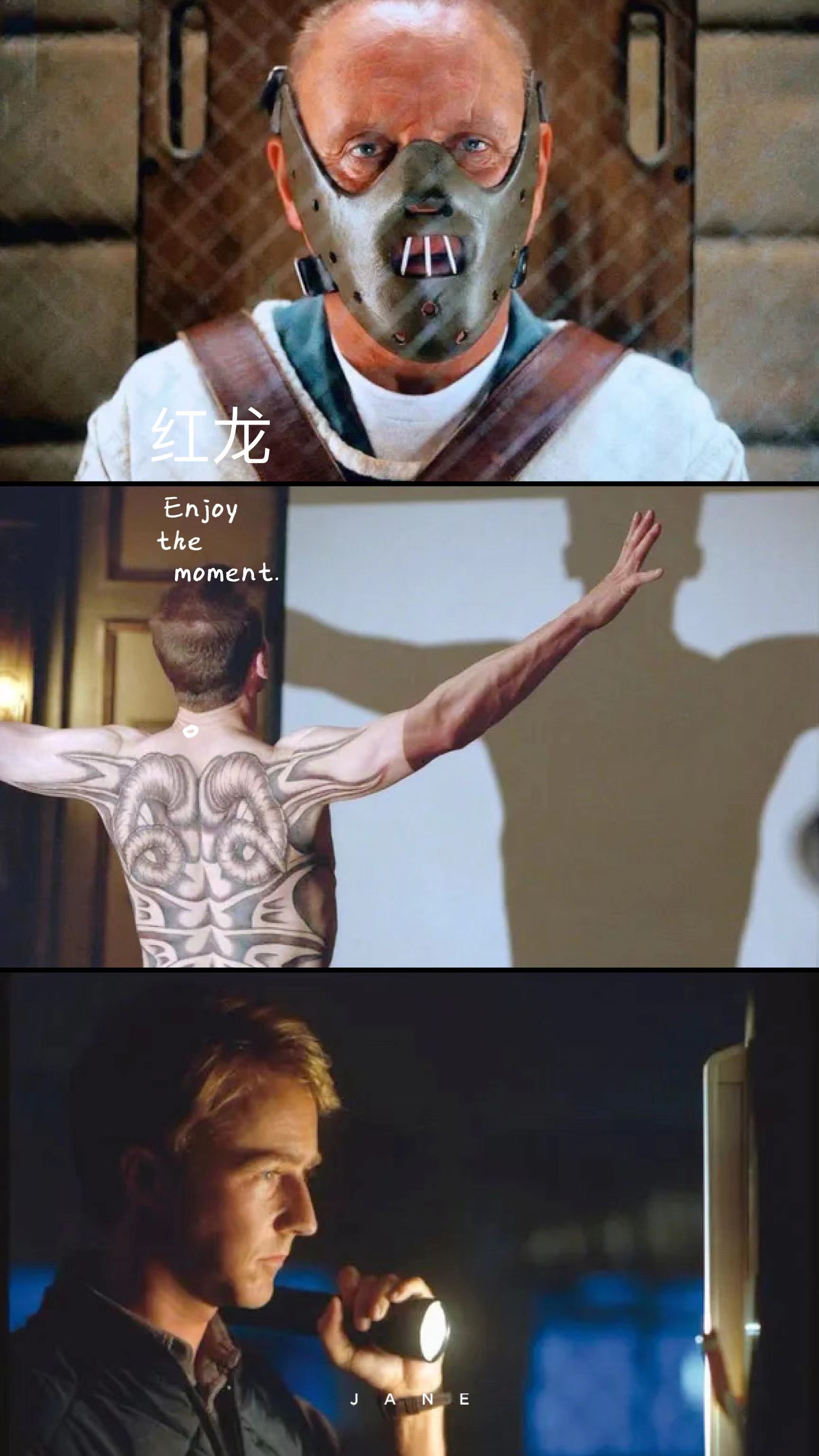 "大尺度"汉尼拔相关电影,你没看过就out了