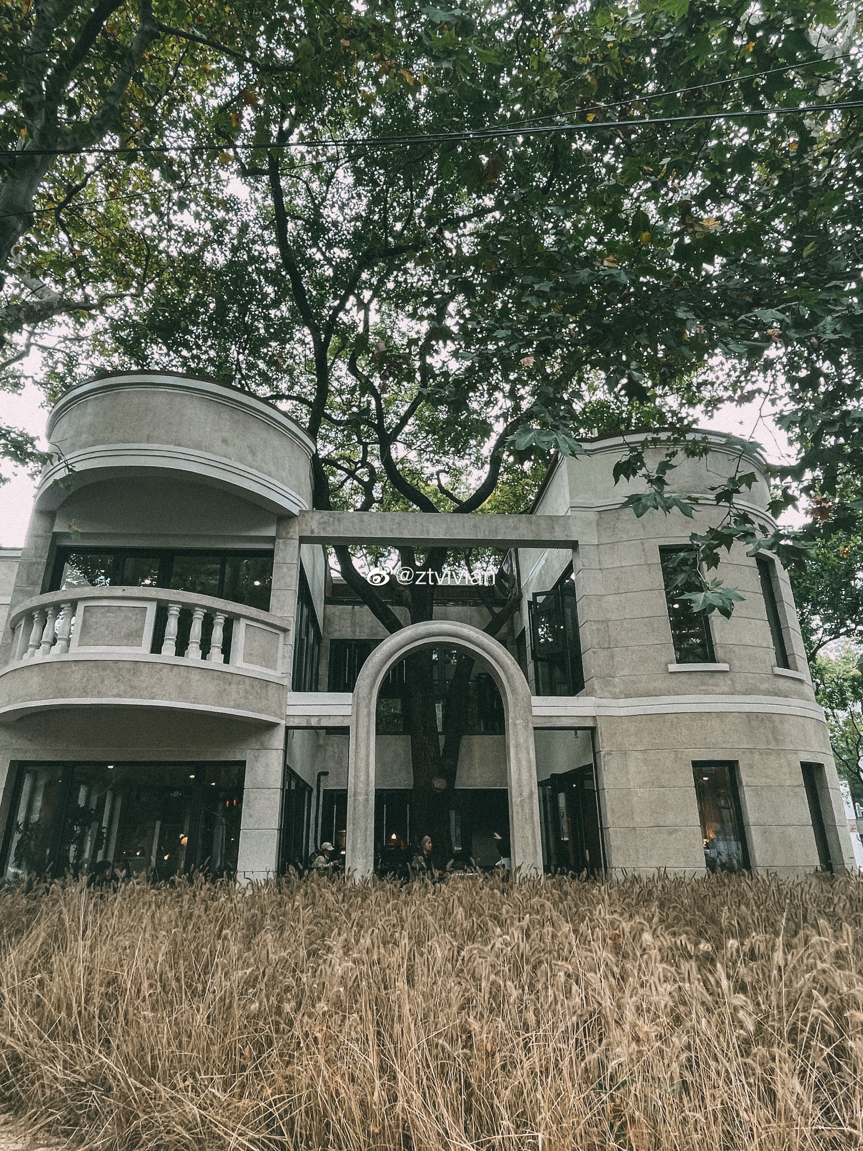 上海美食|庭院深深 一尺花园香樟店 上海旅行 城市巡游