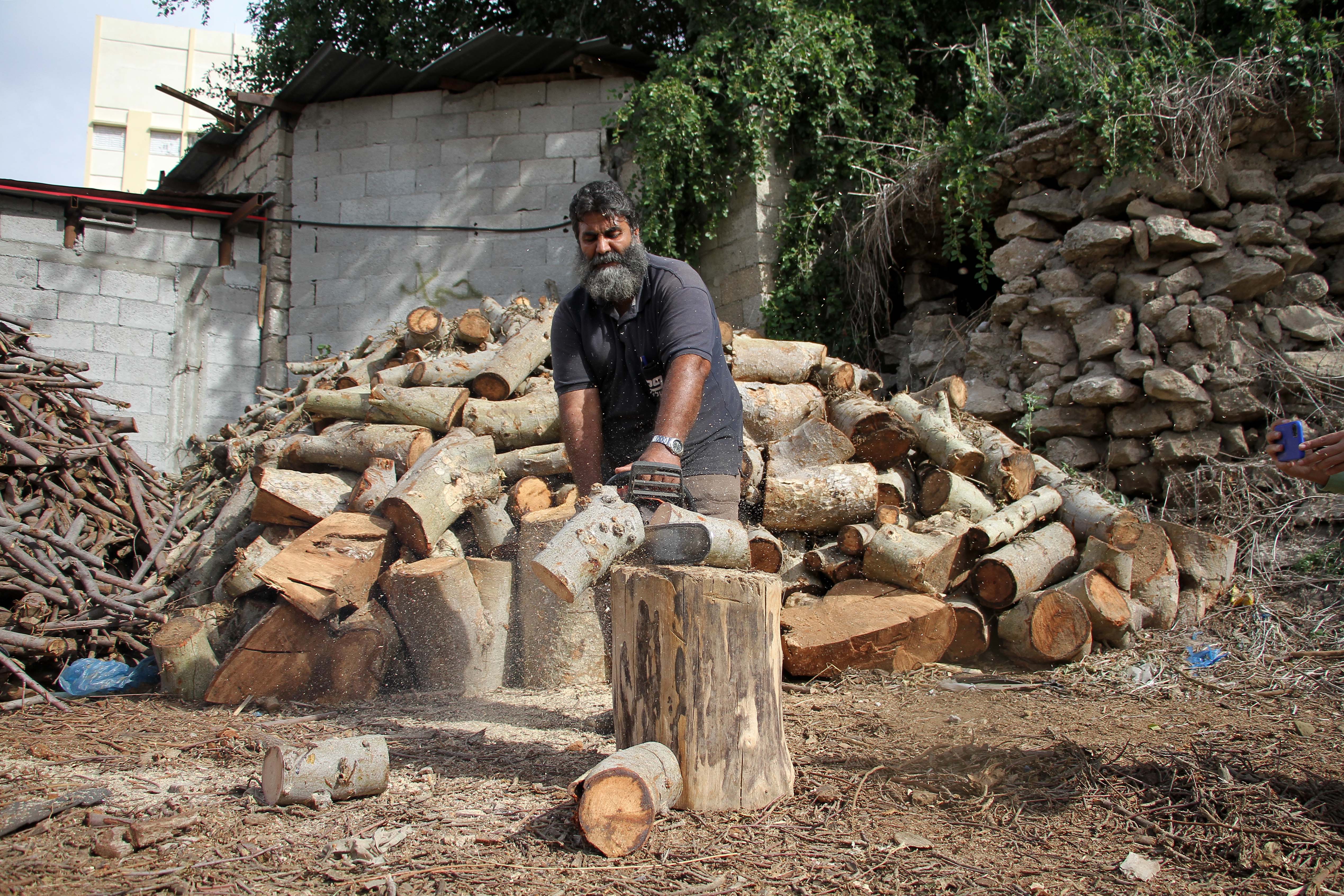 加沙城的伐木工