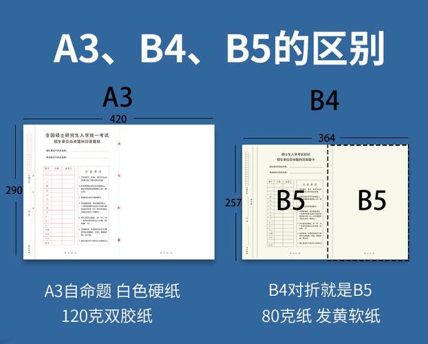 b4纸图片A3对比图片