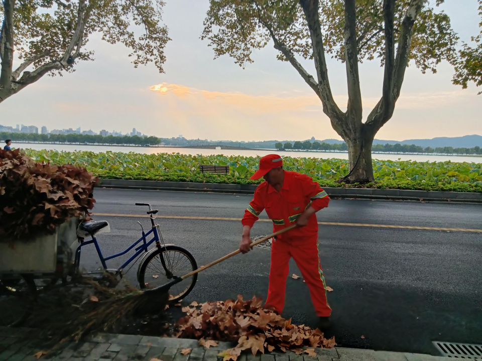 一夜换季满地落叶