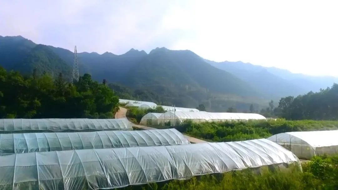 第二批全国乡村治理示范村|湖北省南漳县李庙镇赵店村