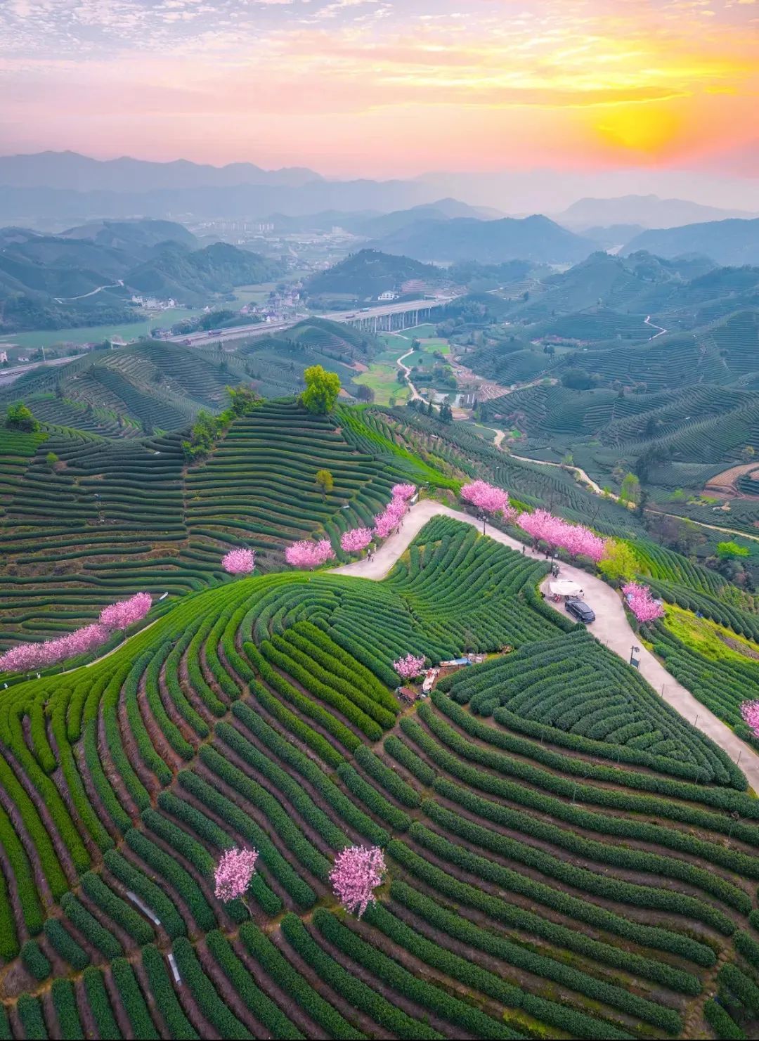 寻茶香游茶山