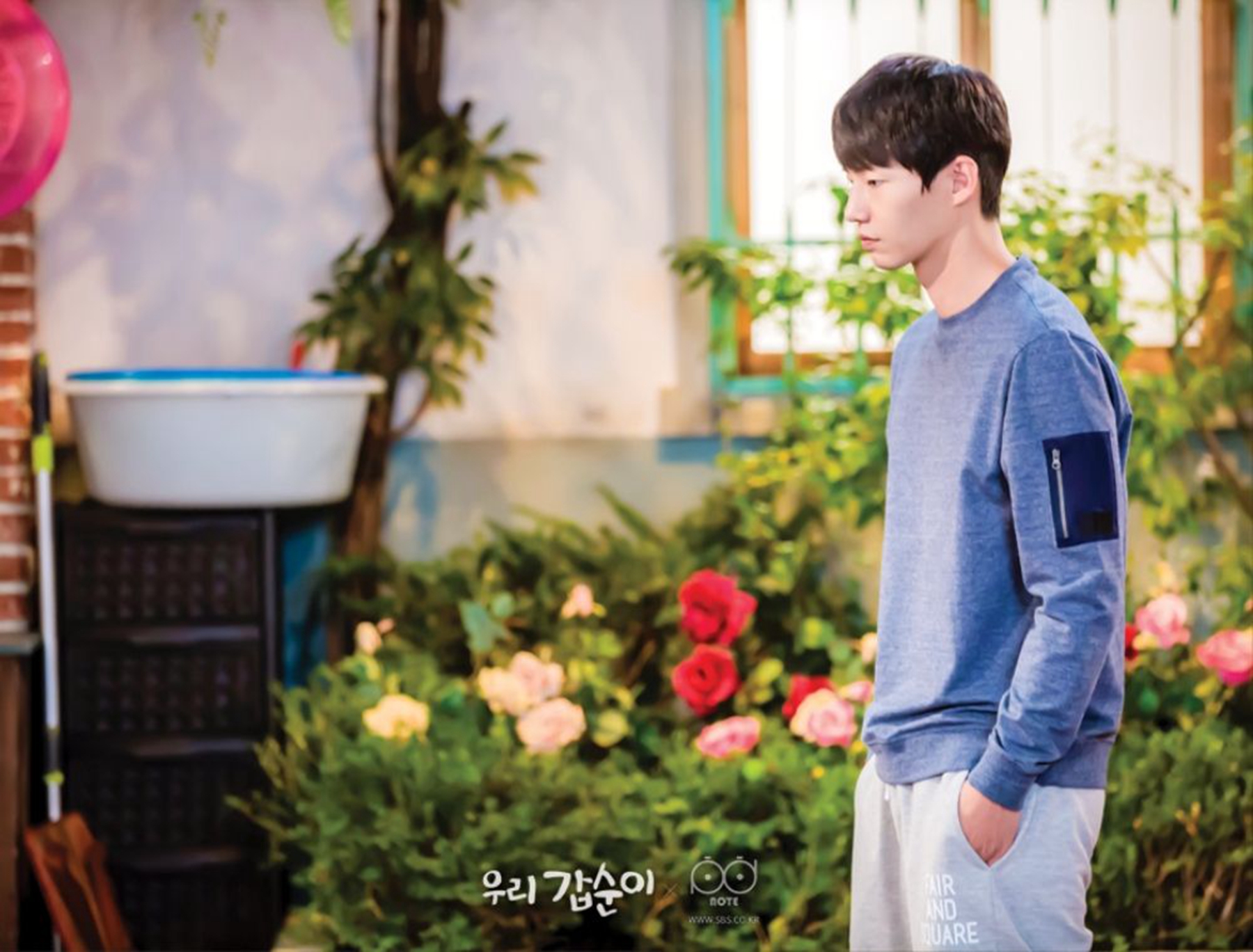 在顺的结局,《我们的甲顺》这部剧总共多少集?