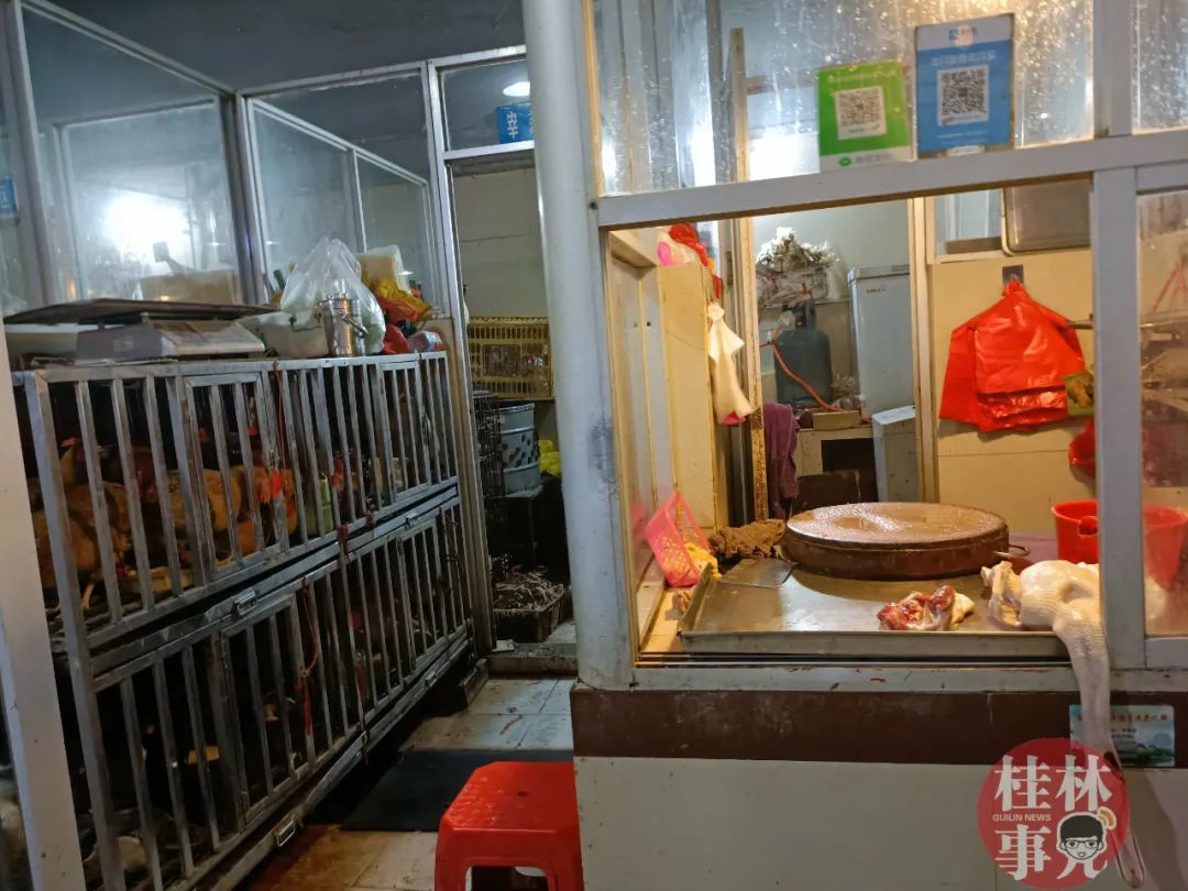本地丨注意!桂林这些菜市场将逐步取消活禽交易,宰杀!