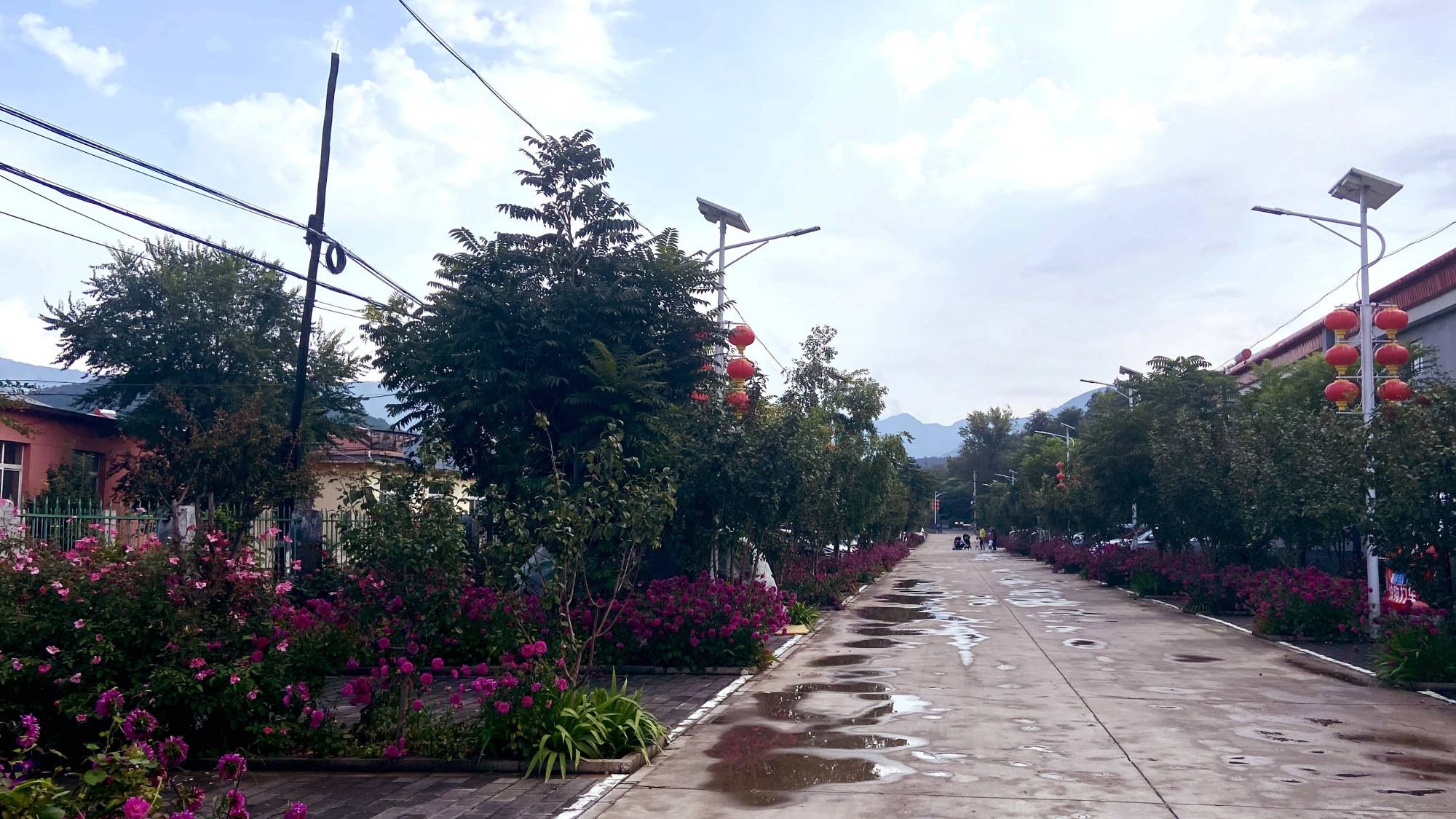 "创城八法" 扮靓军庄镇百姓美好生活