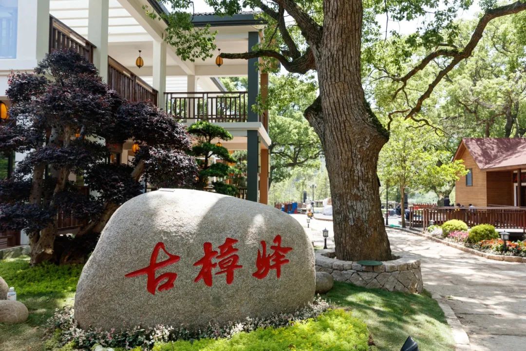 "樟树下"咖啡轻食吧在东海文廊盐仓段古樟驿,是一家把咖啡与本地传统