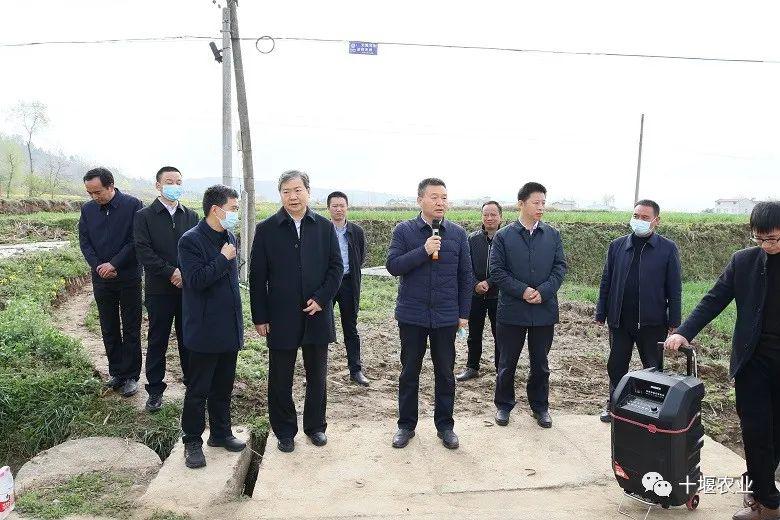 马朝晖在全市春季农业生产现场会强调把握粮食安全主动权建强重点农业