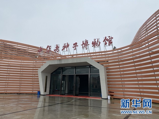 老种子的新"玩法"