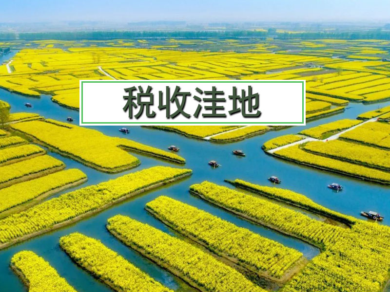 税筹案例05:反面案例,利用税收洼地进行税收筹划,自己陷入洼地