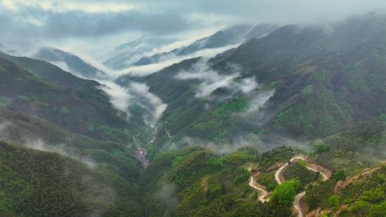 来箬岭古道,在山野间追风