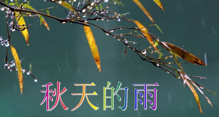 秋天的雨是夏秋过渡季节或秋冬过渡季节里连阴雨天气的通称,即秋雨