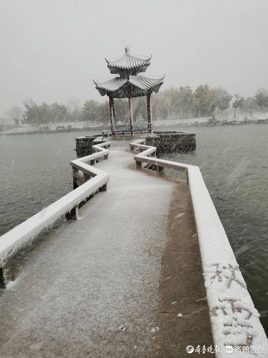 聊城雪景图片