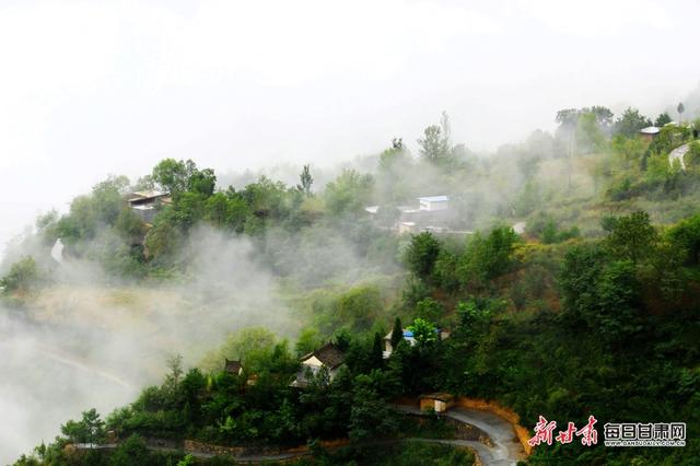 「雲看甘肅」霧繞農舍詩意濃 黃葉滿山醉炊煙 武都區東坪村的秋色是