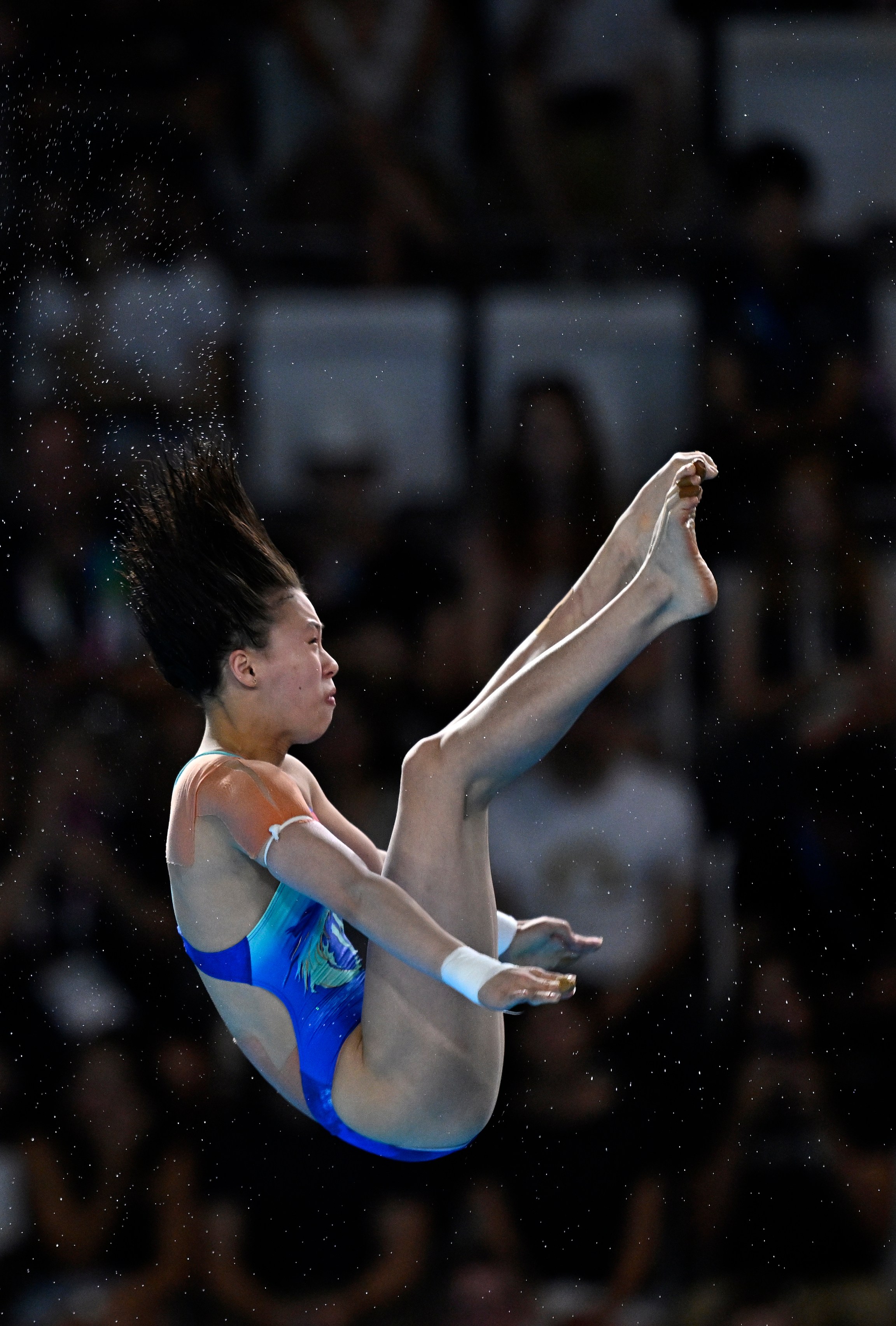 巴黎奥运会|跳水——女子10米跳台预赛赛况