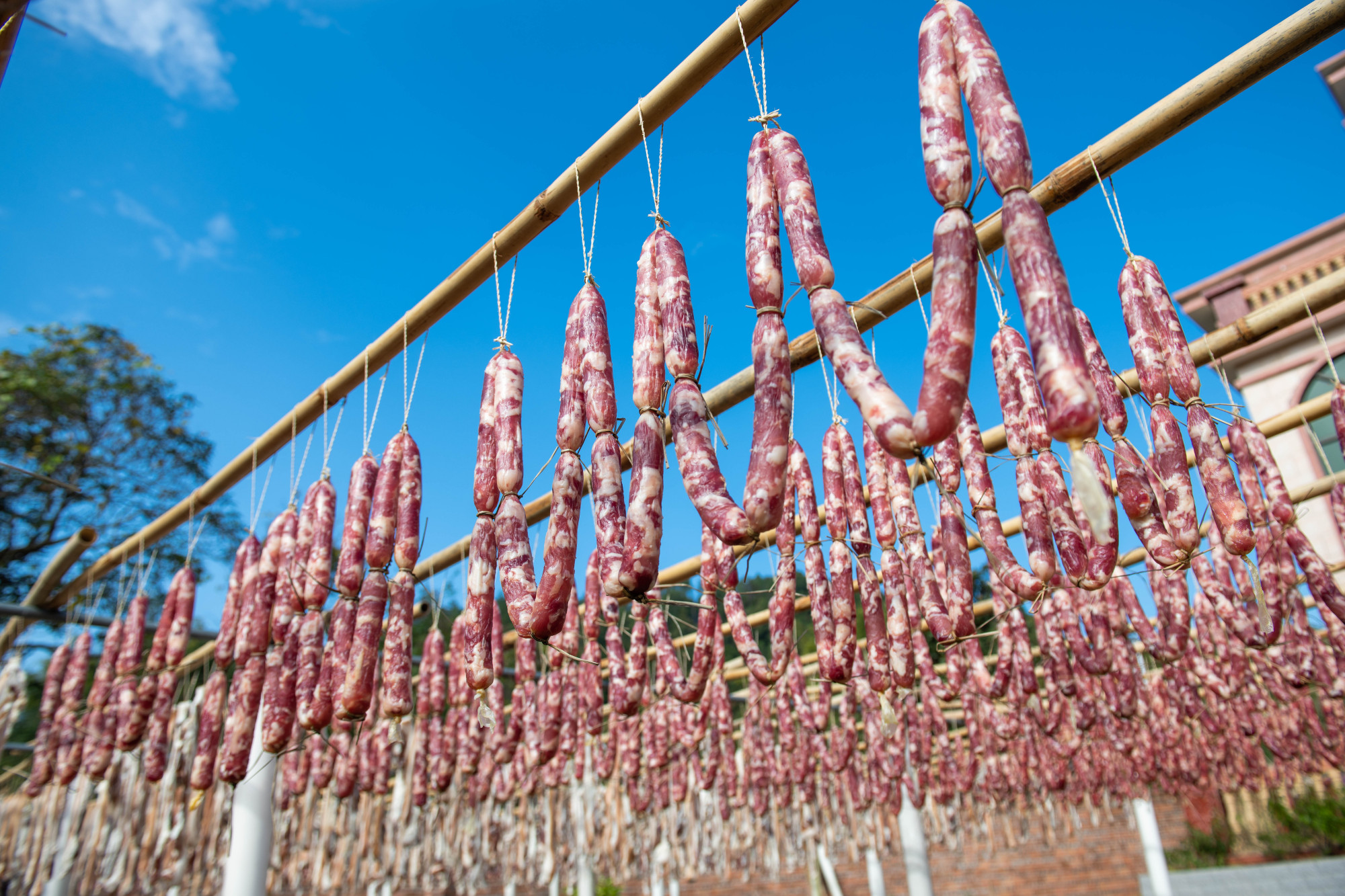 24小时直播|揭秘广州从化吕田传统腊味晒制全过程