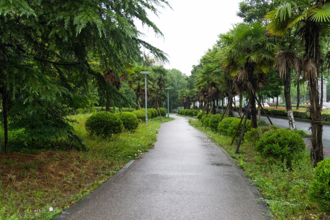 一步一景一画卷,颜值气质双提升,香花桥街道清河湾"美丽街区"竣工亮相