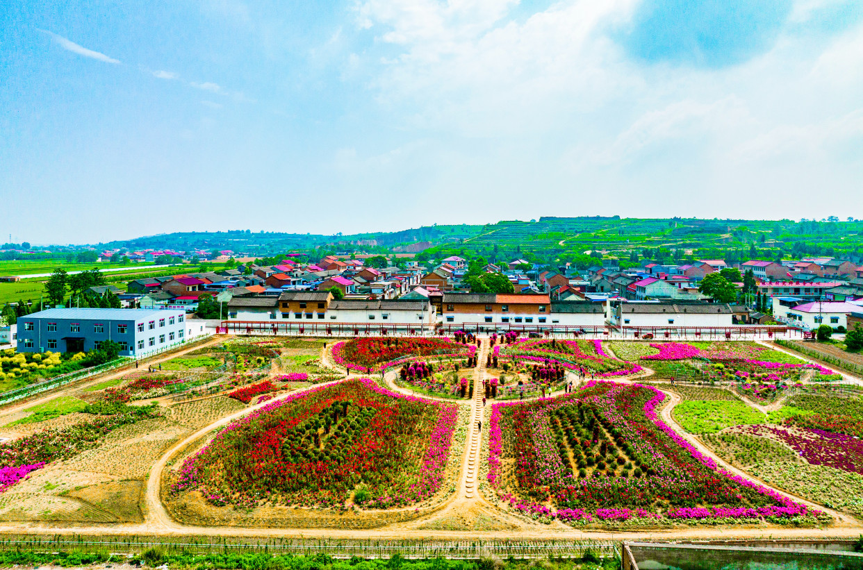 夏县水头镇闫赵村 新农村建设美如画