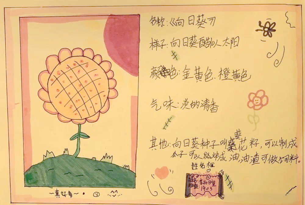 幼儿植物观察记录卡图片(幼儿植物观察记录卡图片模板)