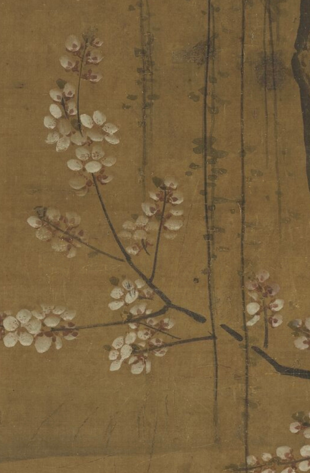 文人墨客为何钟爱墙头红杏