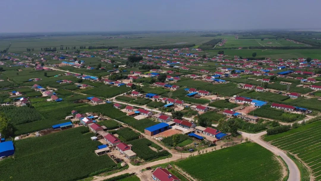 【落实突破年 奋进正当时】太平川镇:发扬特色农业品牌 突破农业高