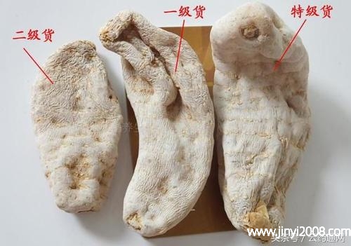 天麻怎么挑选(天麻要怎么保存)