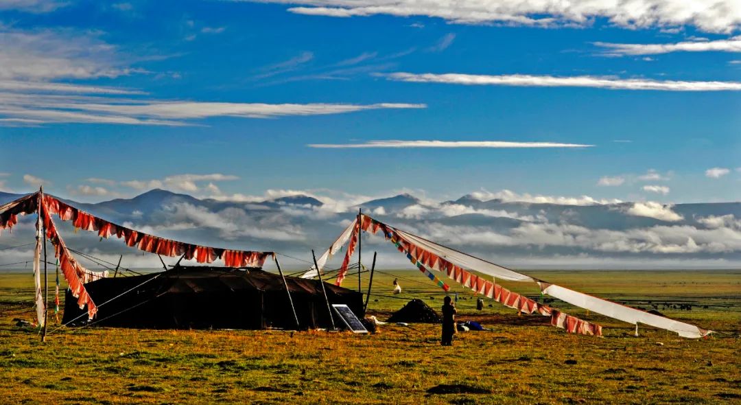 「夜读」黑帐篷:驮在牦牛背上的家园