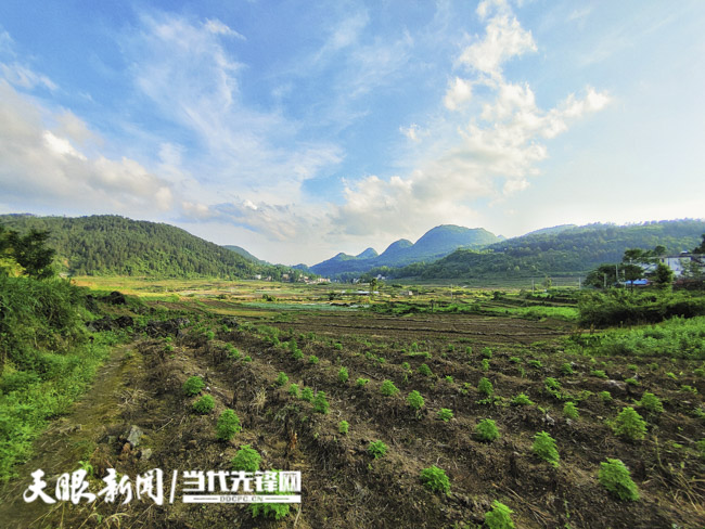 平塘县牙舟镇场坝村:不负好时光 村民管护忙