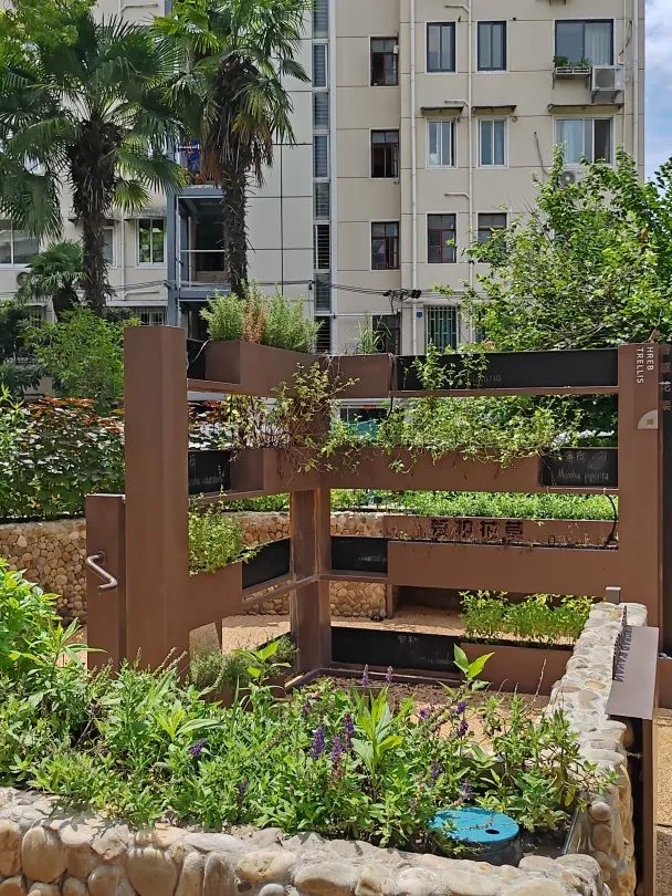 程家桥街道有这样一群"护花使者"