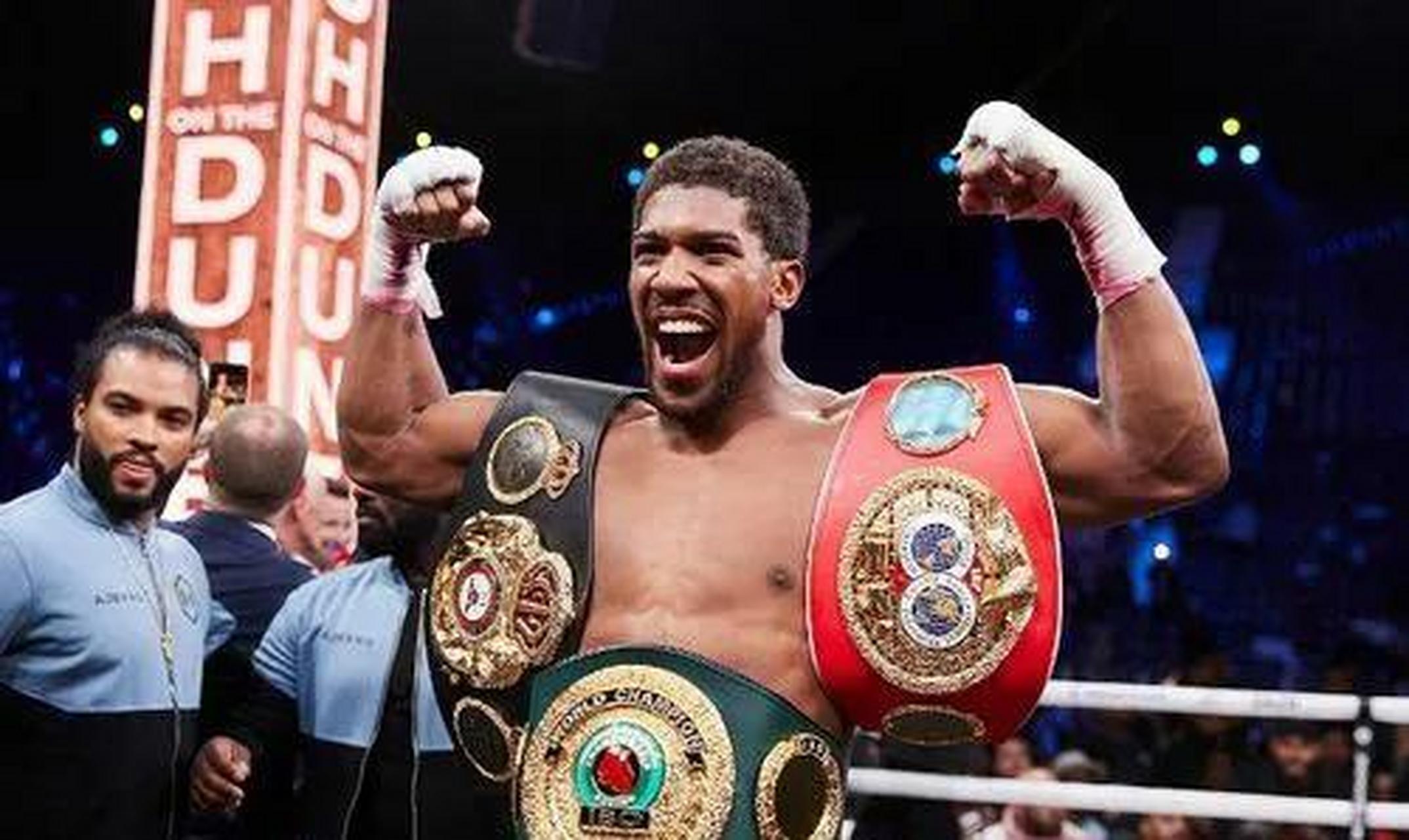 " 如果俩人真来一场,已经跌落神坛的约书亚会咸鱼翻身战胜维尔德吗?