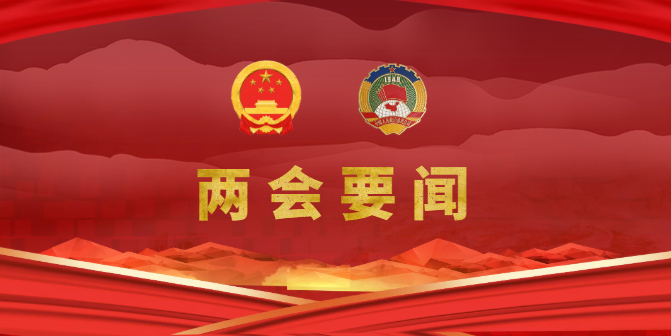 张茗朝参加通化县代表团会议