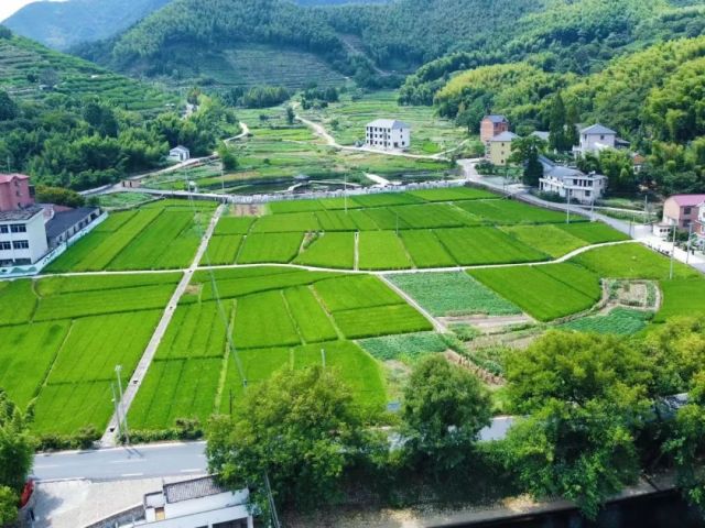 富阳湖源乡:田林大整治 乡村美如画