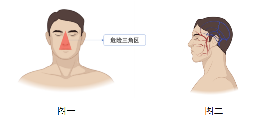 危险三角区示意图图片