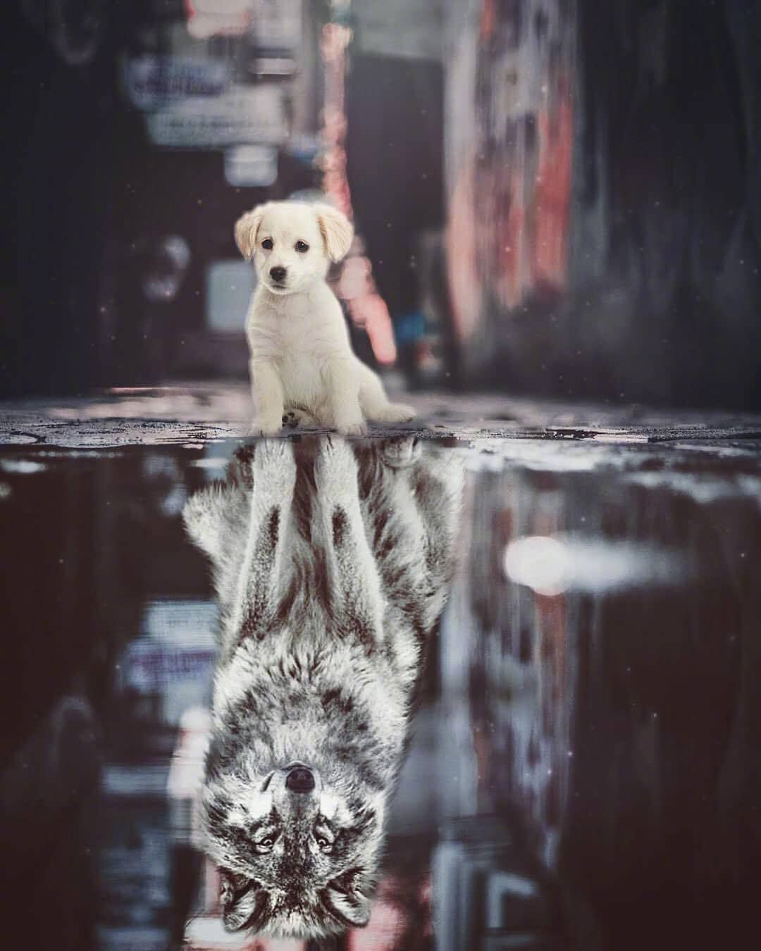 学渣的逆袭之路:成功的事反复做