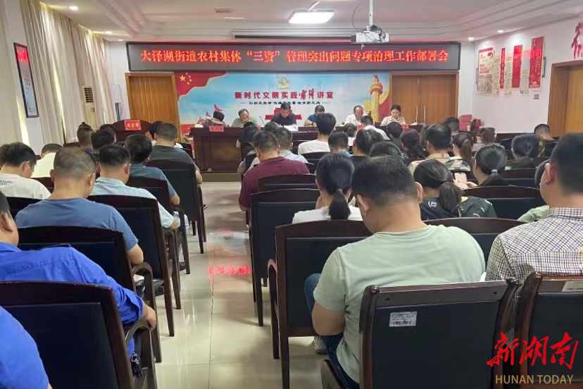 长沙大泽湖街道:筑牢乡村振兴廉洁生态屏障