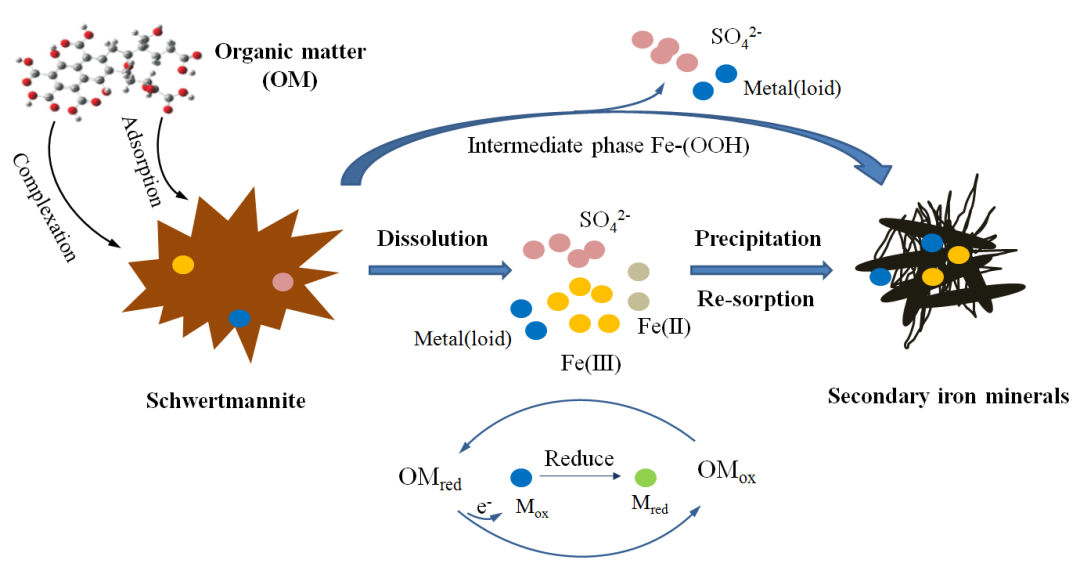 佛山科学技术学院环境修复团队:有机质和铁氧化物相互