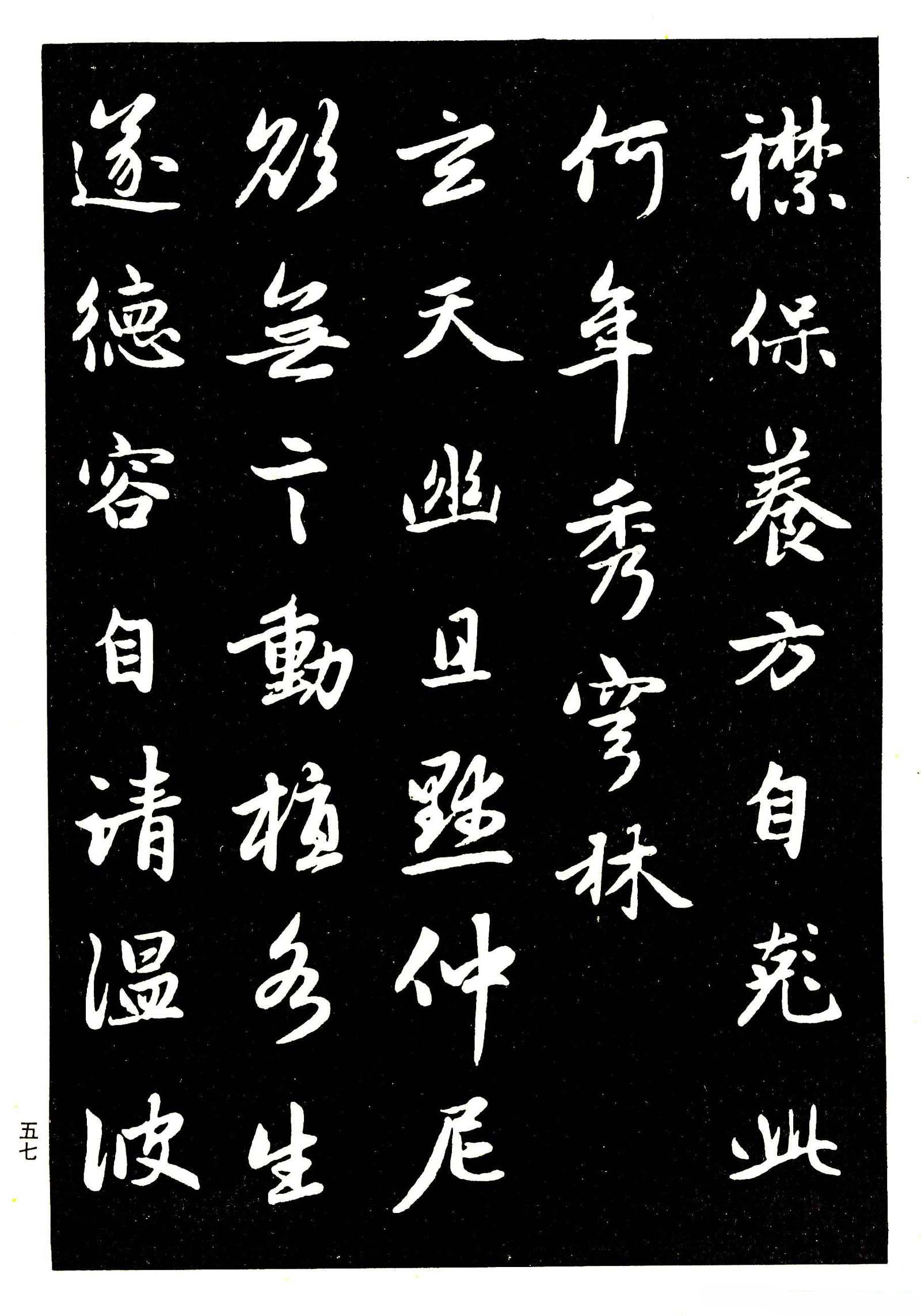 赵孟頫最美的行书字帖图片