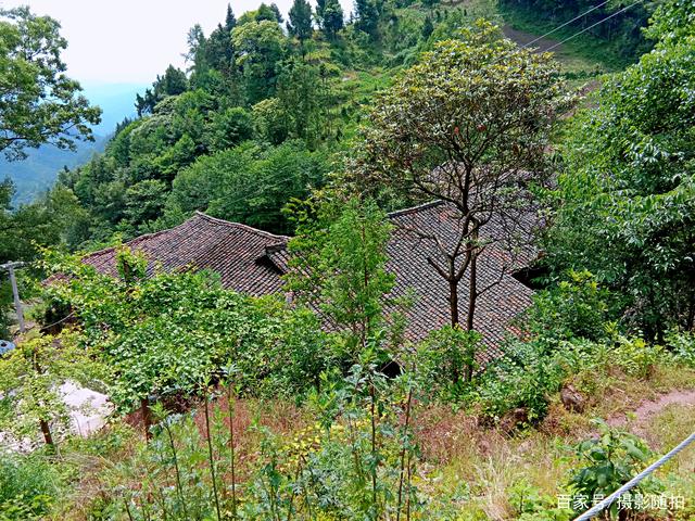 《乡村振兴战略计划》对农村的好处!