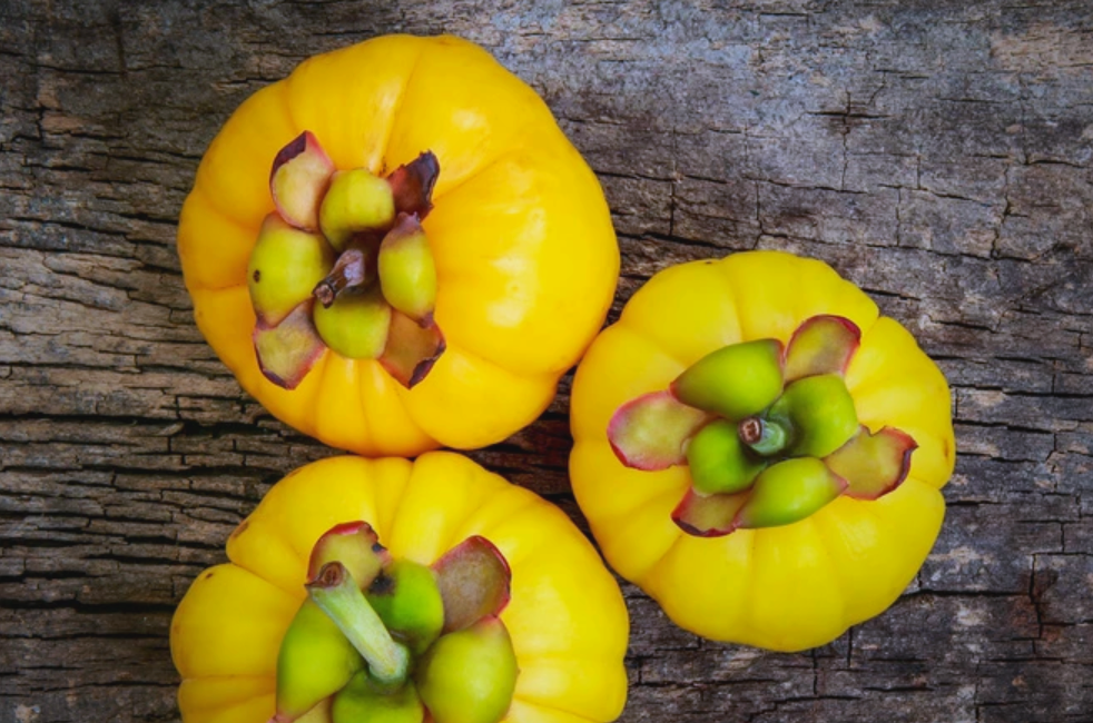 藤黄果:减肥的热门选择,效果如何?